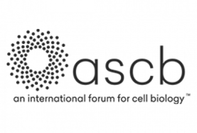 logo-ascb